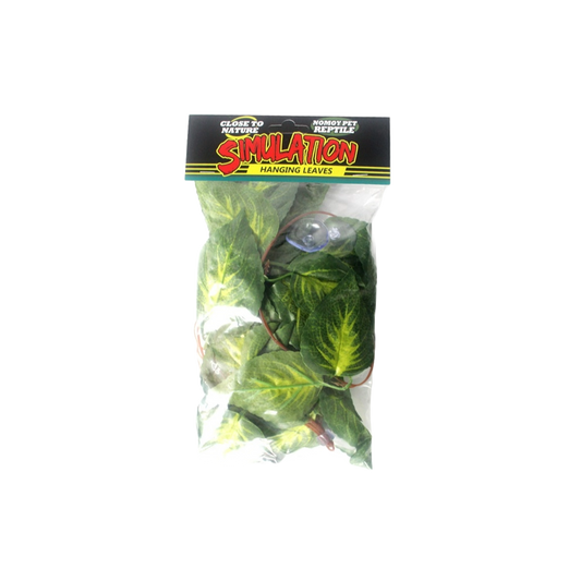 Nomoy NFF-84 hanging plant