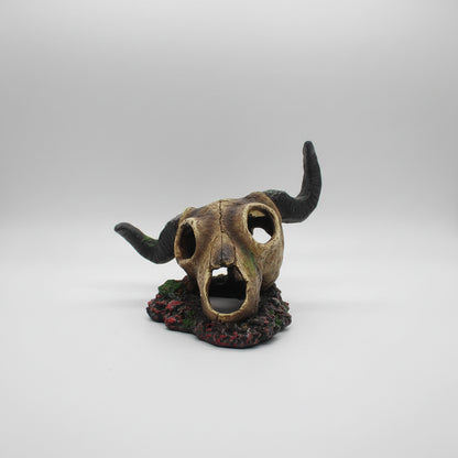 Skull with large horns on a white background