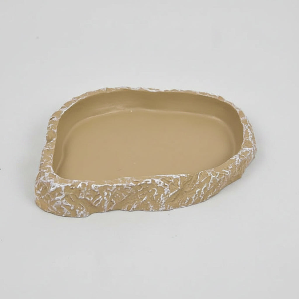 reptile shallow water and feeding bowl