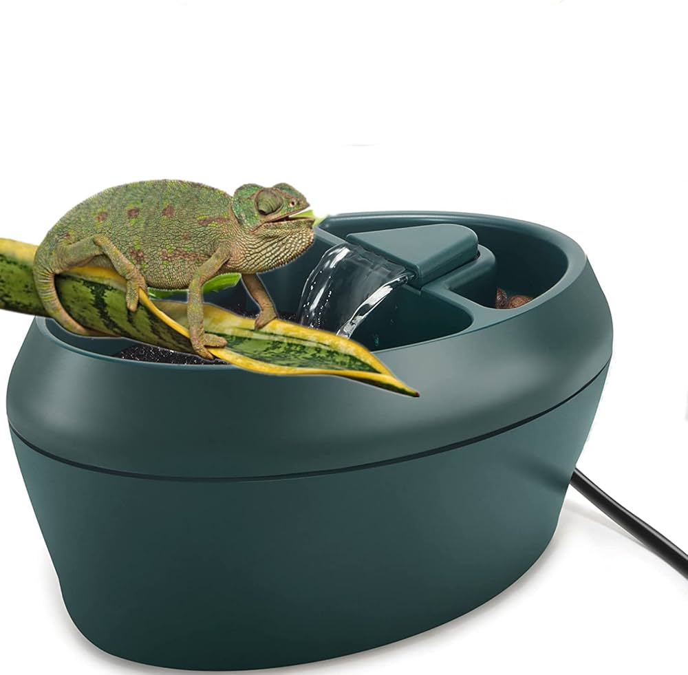 Geckos and chameleons drinking from the fountain