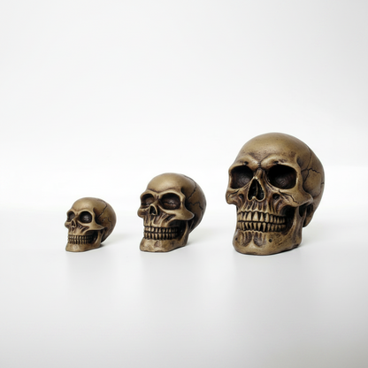 Resin Skull head - Nomoy various sizes