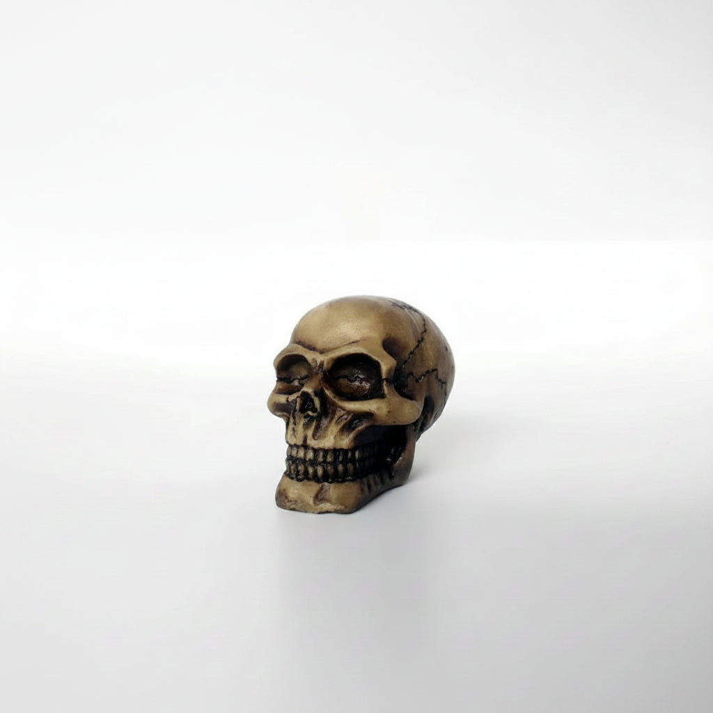Bronze skull figurine on a white background 