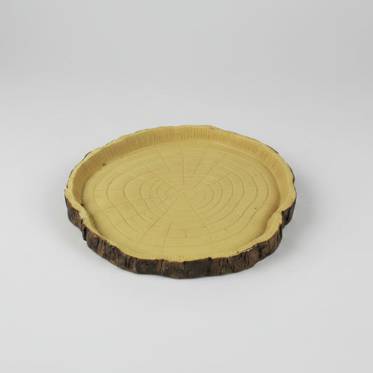 Tortoise with a bowl of food on a white background, featuring the Nomoy Pet brand.