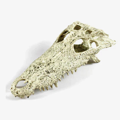 Nomoy NS-72 Crocodile Skull