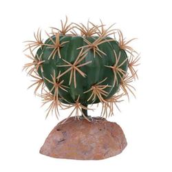 QM-30 cactus plant 