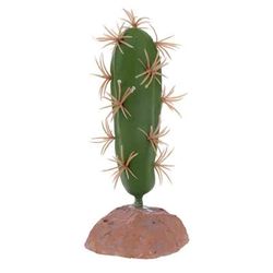 QM-34 cactus plant 
