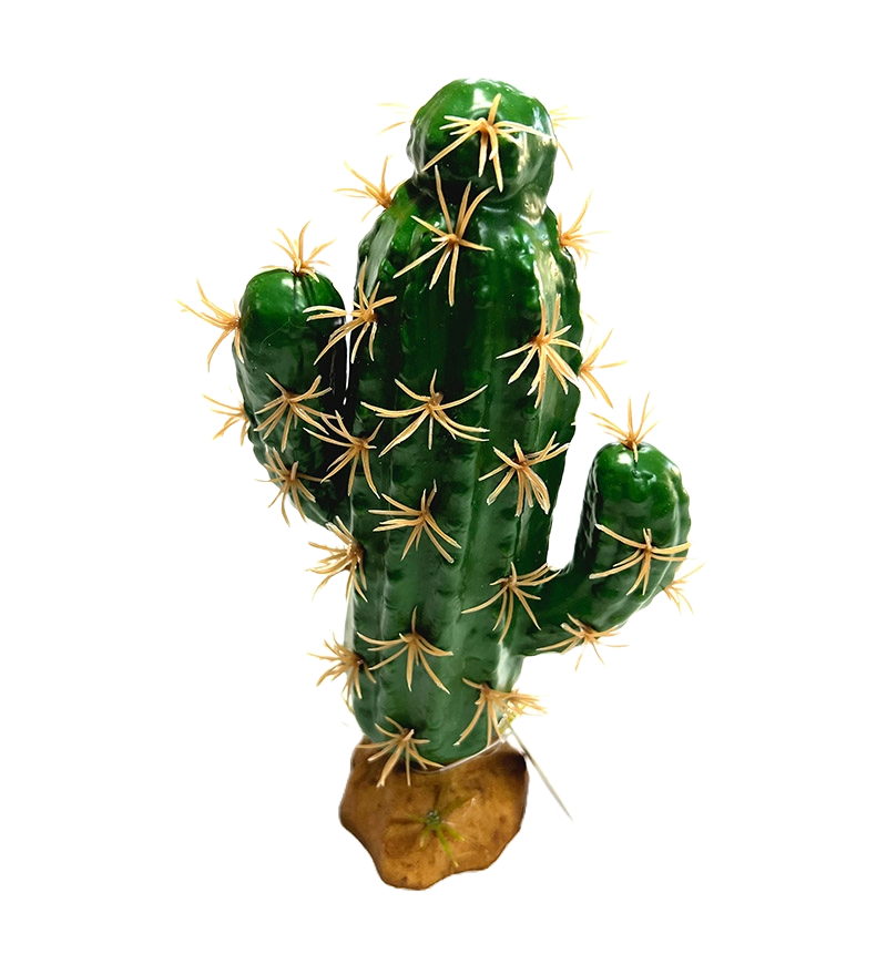 QM-38 cactus 