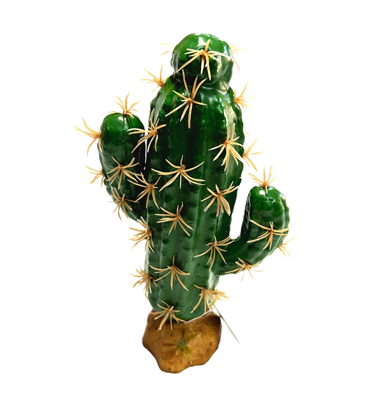 QM-38 cactus 