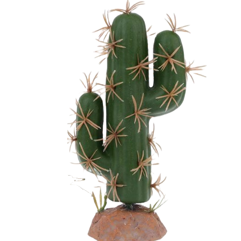 QM-39 cactus plant
