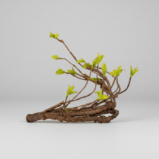 Moss Jungle Vine for reptiles- Multi Branch 1400mm