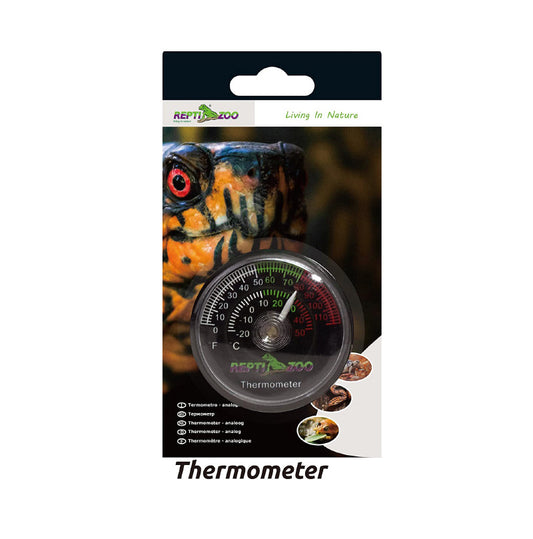 Repti Analog Thermometer mounted inside terrarium