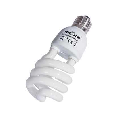 Close-up of compact 26W UVB 10.0 light 