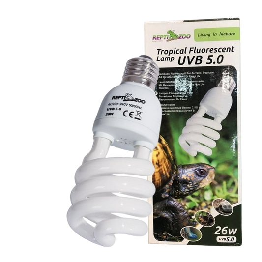 Repti Compact UVB 5.0 for Reptiles