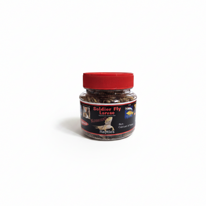 A small jar of Rebel's Soldier Fly Larvae food, featuring a red screw cap and a black label with red and white text, set against a plain white background.