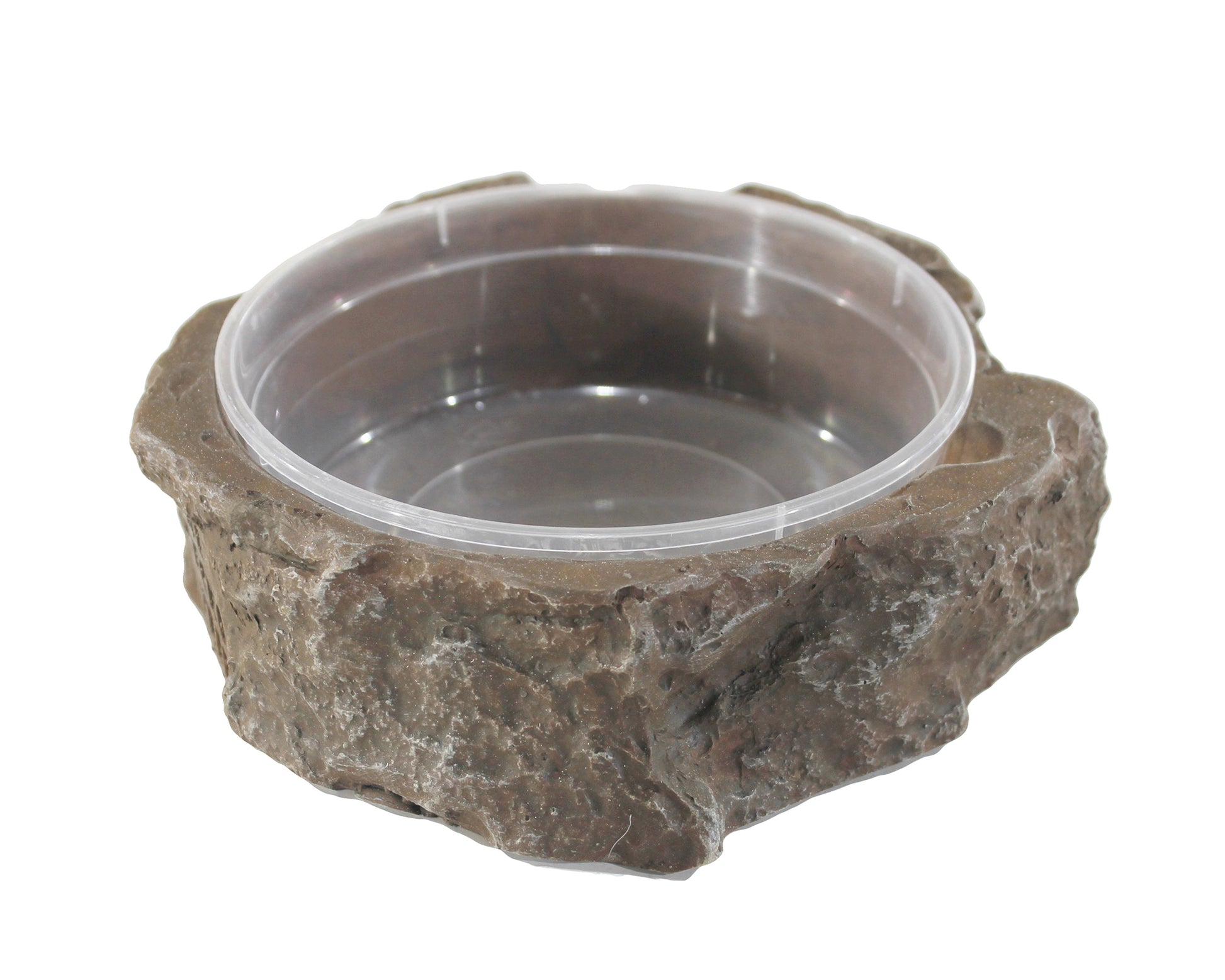 X-Large shallow deli cup holder for large reptiles in terrariums.