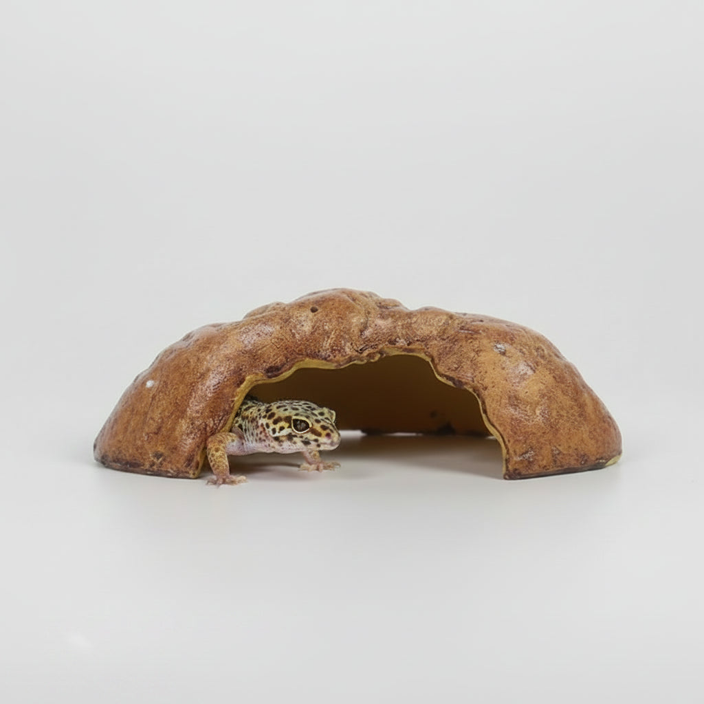 A brown textured gecko hiding cave  NOMOY PET, displayed on a clean white background with product specifications printed below.