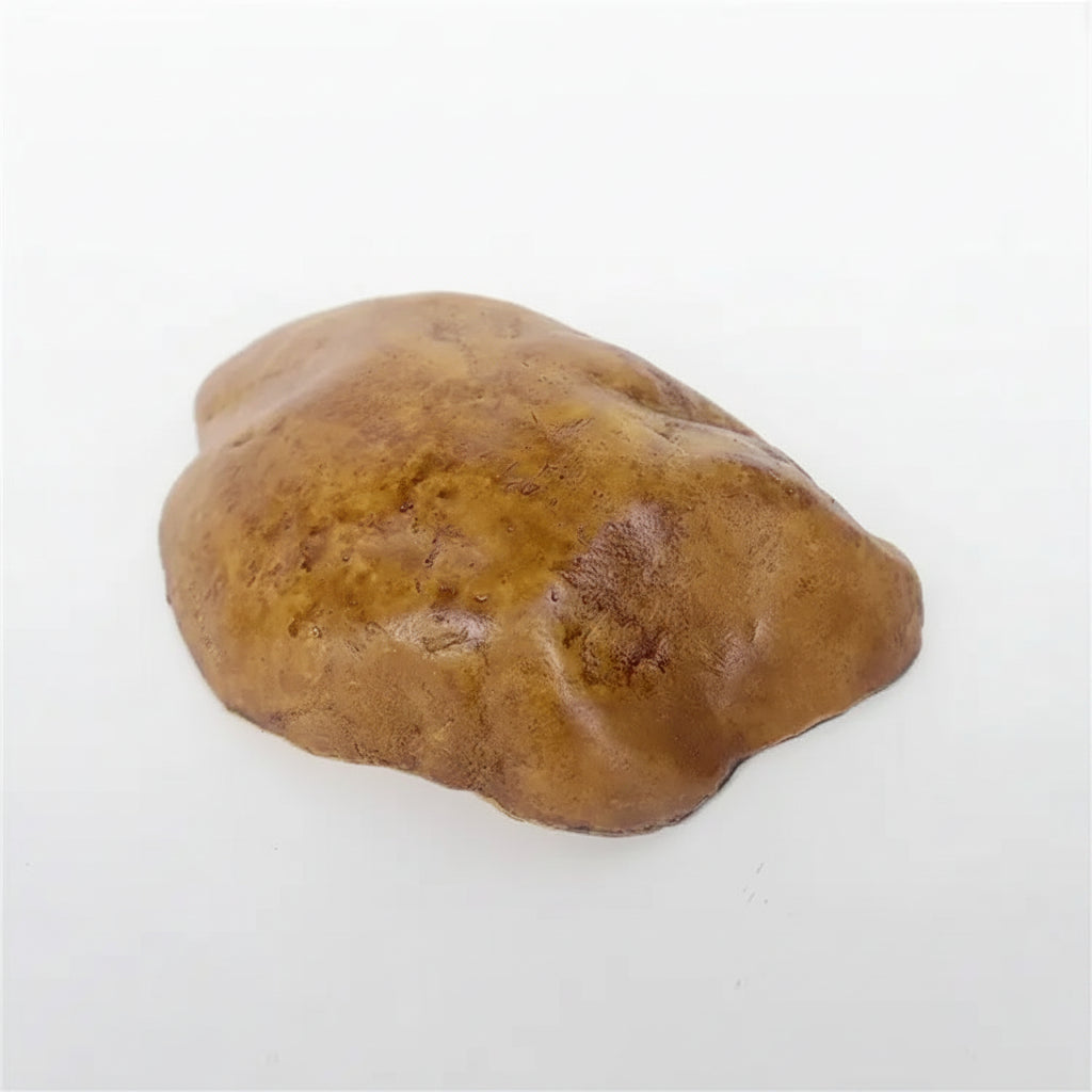 A small, irregularly shaped brown stone or polished rock sample, photographed on a clean white background.reptileresin cave
