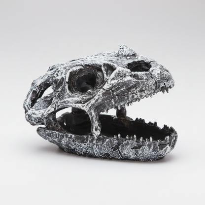 A realistic dinosaur skull sculpture with an open mouth, detailed with textured cracks and sharp teeth, shown on a plain white background.