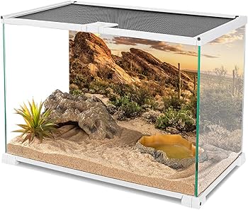 Cling background applied to terrarium glass