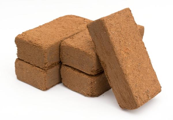 compressed sphagnum moss brick 