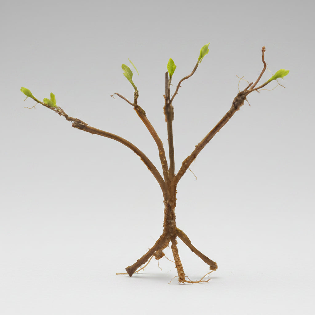 Giangarden Artificial Reptile Herpvine