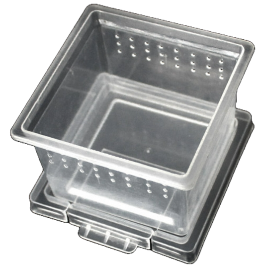 H1 reptile box stack of 50 