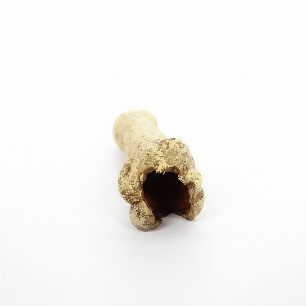 Reptile enclosure bone decor piece
