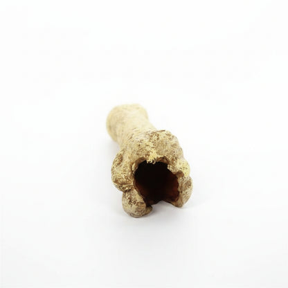 Reptile enclosure bone decor piece
