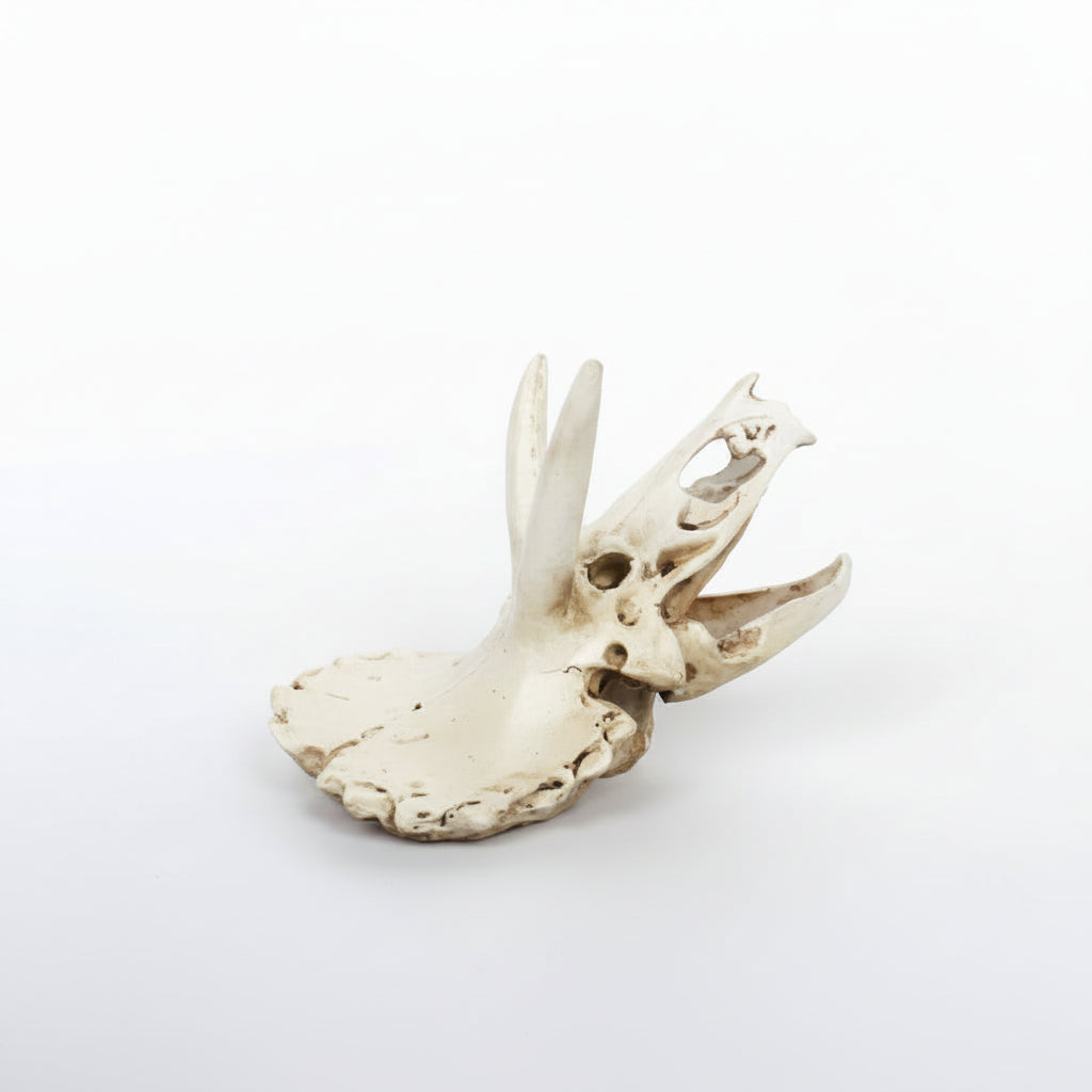 Decorative item resembling a rhinoceros head on a white background