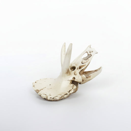 Decorative item resembling a rhinoceros head on a white background