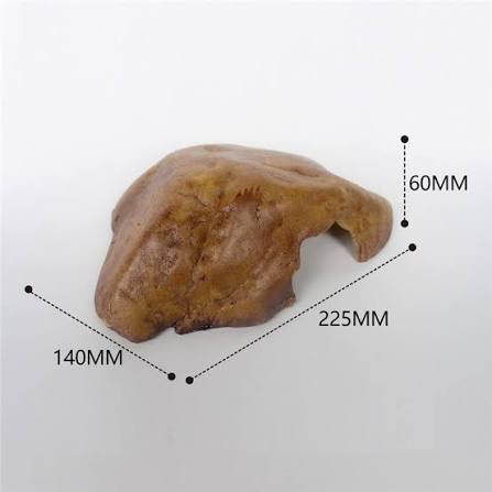 Nomoy Resin Reptile rock caves