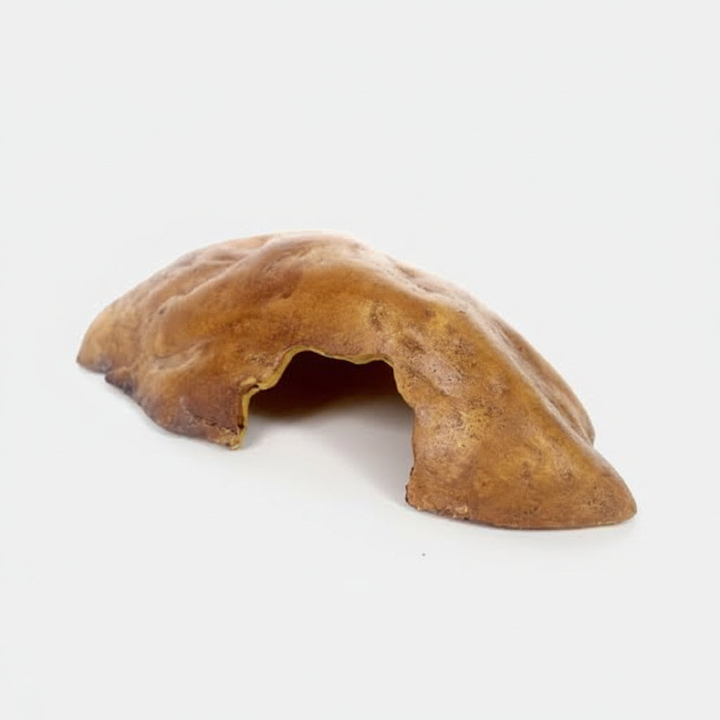 A brown gecko hiding cave for pets, shown on a white background 