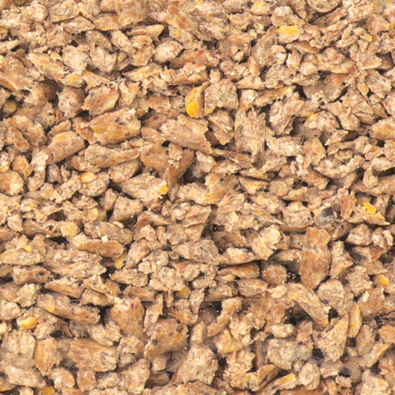 Insect Feeder Gut Load Food β Maximize Nutrition for Your Reptiles ...
