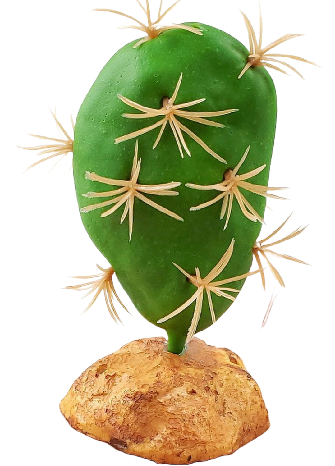 QM-128 Cactus Plant