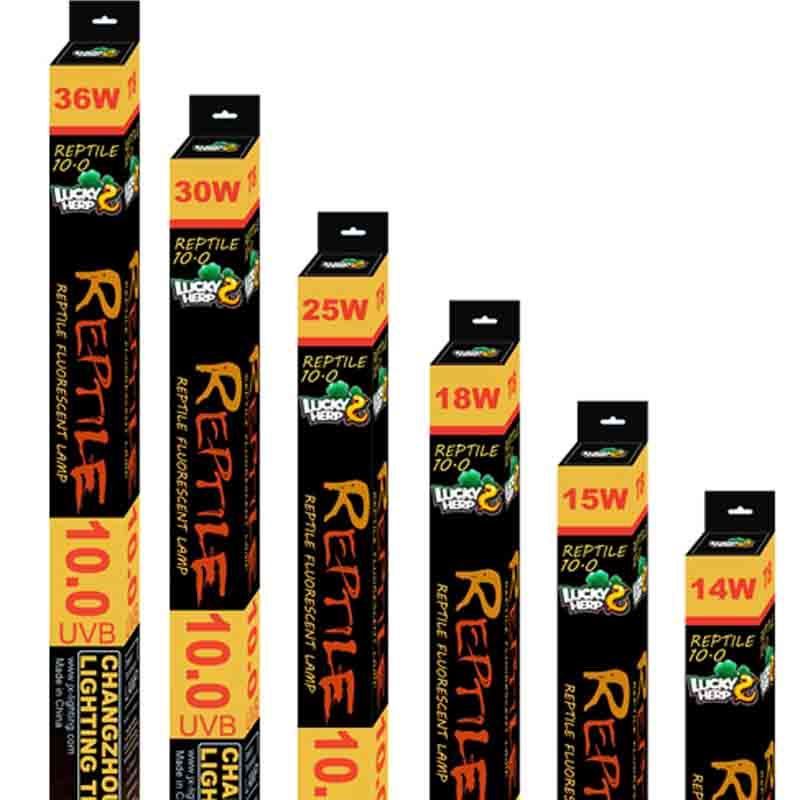 T8 UVB 10.0 tubes in multiple wattages lined up